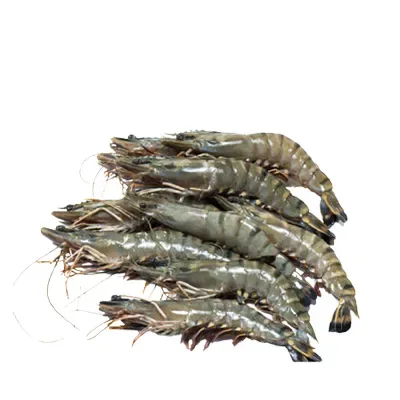 চিংড়ি