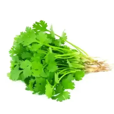 ধনিয়া